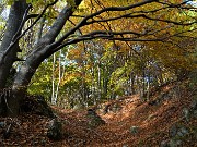05 Esplosione dei colori d'autunno sul sent. 506 